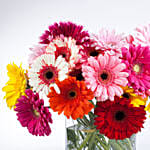 Elegant Gerberas In Glass Vase