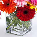 Elegant Gerberas In Glass Vase