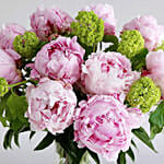 Elegant Pink Peonies Beauty