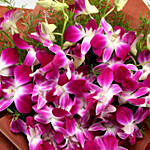 Exotic Purple Orchids Bunch