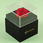 Forever Red Rose In Black Box