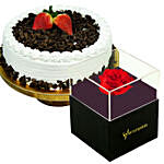 Forever Red Rose With Black Box Black Forest Cake