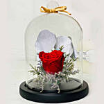 Forever Red Rose With Greeting Card