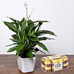 Lily Plant With Ferrero Rocher