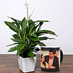 Lily Plant With Personalised Magic Mug