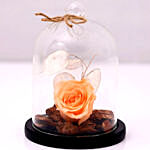 Peach Forever Rose In Glass Dome Chocolate Cake