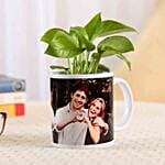 Picture Mug Money Plant