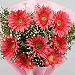 Pleasing Pink Marvel Gerbera Blossoms