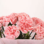 Pretty Pink Carnations Bouquet