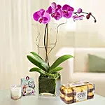 Purple Orchid With Ferrero Rocher