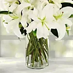 Serene Arranagement Of Lovely White Lilies