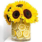 The Fresh Feeling Arrangement