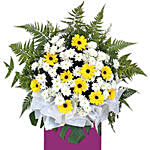 Yellow Gerberas White Pom In Beautiful Pink Stand