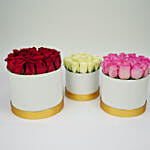 Trio Of Roses Arrangement In Boxes