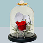 Single Beautiful Red Forever Rose In Glass Dome For Valentines