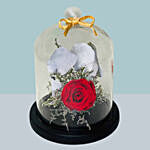 Single Beautiful Red Forever Rose In Glass Dome For Valentines