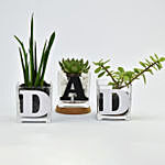 Trio Of Plants For Dad