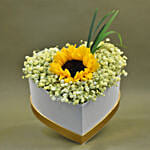 Baby Breath & Sunflower Heart Shaped Box Arrangement