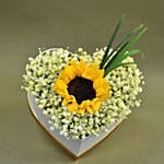 Baby Breath & Sunflower Heart Shaped Box Arrangement