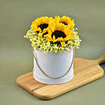 Cheerful Sunflowers & Baby Breath Box Arrangement