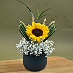 Sunflower & Baby Breath Designer Vase