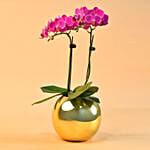 Purple Orchids Plant Fish Bowl Vase