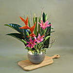 Pink Lily & Japanese Bamboo Designer Pot