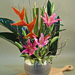 Pink Lily & Japanese Bamboo Designer Pot