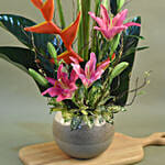 Pink Lily & Japanese Bamboo Designer Pot