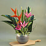 Pink Lily & Japanese Bamboo Designer Pot