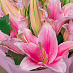 Passionate Oriental Pink Lilies