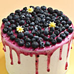 Designer Blueberry cake