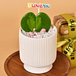 Single Hoya Plant with Ferrero Rocher For Valentine