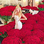 Extravagance Of Red Roses for Valentine