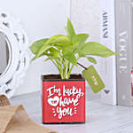 Money Plant In Lucky To Have You Glass Pot Hand Delivery