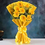 Yellow Mystique Gerbera Blossoms