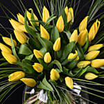 Vivid Tulip Delight