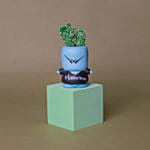 Cactus Quirky Boy Pot