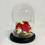 Christmas Special Forever Roses