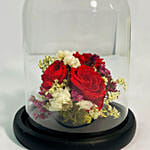 Christmas Special Forever Roses