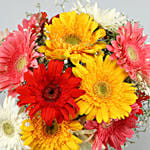 Classy Mix Of Gerbera Blossoms