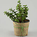 Jade Plant Personalised White Mug