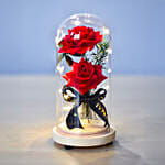 Led Red Forever Roses in Dome