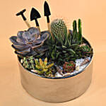 Mini Succulent Garden Container