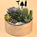 Mini Succulent Garden Container
