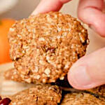 Oatmeal Cranberry Cookies