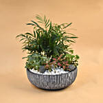 Refreshing Plants Pot