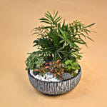 Refreshing Plants Pot