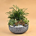 Refreshing Plants Pot