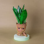 Sansevieria I Am Groot Pot